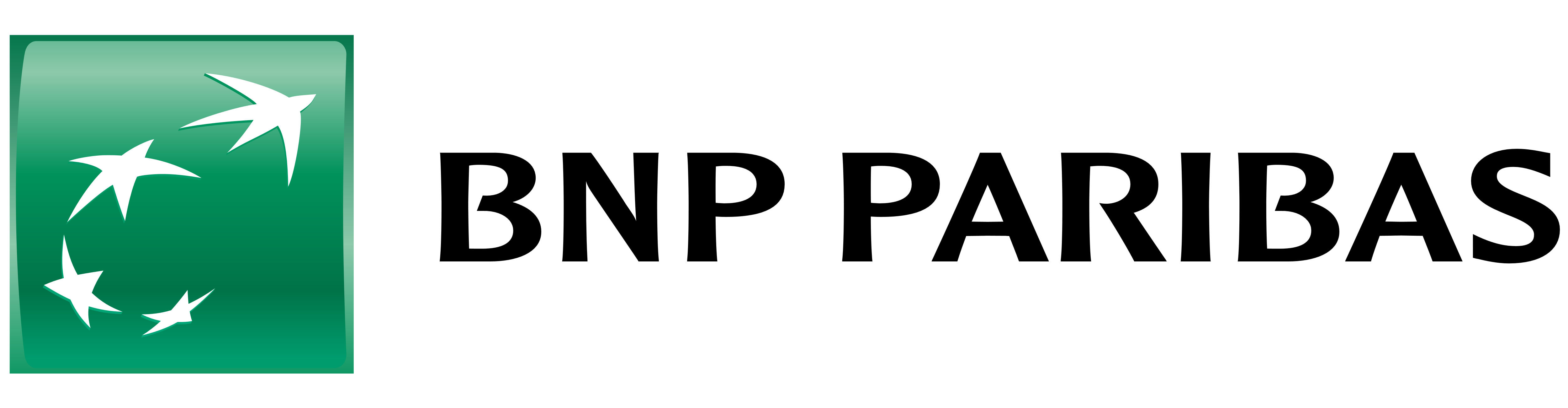BNP 